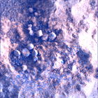SIF_1824_0828884351_250EBY_N0874084SRLC00378_0000LMJ