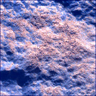 SIF_1834_0829752109_000EBY_N0874184SRLC01042_0000LMJ