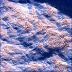 SIF_1834_0829752274_574EBY_N0874184SRLC01042_0000LMJ