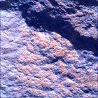 SIF_1834_0829752299_558EBY_N0874184SRLC01042_0000LMJ