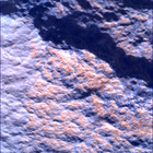 SIF_1834_0829752308_886EBY_N0874184SRLC01042_0000LMJ