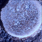 SIF_1844_0830646918_378EBY_N0880000SRLC02504_0000LMJ