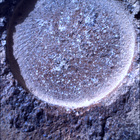 SIF_1844_0830647267_820EBY_N0880000SRLC01034_0000LMJ