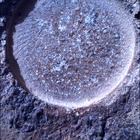 SIF_1844_0830647272_226EBY_N0880000SRLC01034_0000LMJ