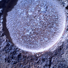 SIF_1844_0830647273_695EBY_N0880000SRLC01034_0000LMJ