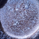SIF_1844_0830647453_488EBY_N0880000SRLC00722_0000LMJ