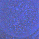 SIF_1844_0830667767_988EBY_N0880000SRLC08061_0000LMJ