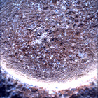 SIF_1846_0830838412_683EBY_N0880000SRLC00630_0000LMJ