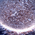 SIF_1846_0830838414_902EBY_N0880000SRLC00630_0000LMJ