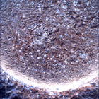 SIF_1846_0830838421_558EBY_N0880000SRLC00630_0000LMJ