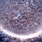 SIF_1846_0830838423_777EBY_N0880000SRLC00630_0000LMJ