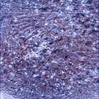 SIF_1846_0830838665_796EBY_N0880000SRLC00418_0000LMJ