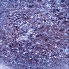 SIF_1846_0830838668_449EBY_N0880000SRLC00418_0000LMJ