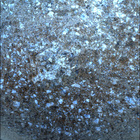 SIF_1846_0830852032_812EBY_N0880000SRLC08062_0000LMJ