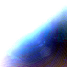 NLF_1848_0830995767_366ECM_N0880000NCAM00501_01_295J