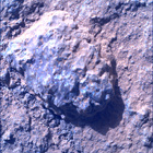 SIF_1848_0831003577_757EBY_N0880000SRLC00654_0000LMJ