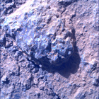 SIF_1848_0831003749_992EBY_N0880000SRLC00654_0000LMJ