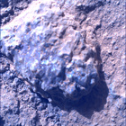 SIF_1848_0831003920_226EBY_N0880000SRLC00466_0000LMJ