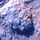 SIF_1848_0831003928_800EBY_N0880000SRLC00466_0000LMJ