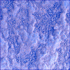 SIF_1851_0831265547_316EBY_N0880206SRLC00739_0000LMJ