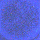 SIF_1851_0831289768_878EBY_N0880206SRLC08061_0000LMJ