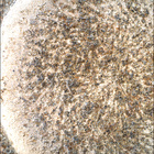 SIF_1853_0831448570_675EBY_N0880206SRLC00636_0000LMJ