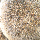 SIF_1853_0831448747_042EBY_N0880206SRLC00636_0000LMJ