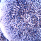 SIF_1853_0831448764_636EBY_N0880206SRLC00636_0000LMJ