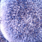 SIF_1853_0831448772_488EBY_N0880206SRLC00636_0000LMJ