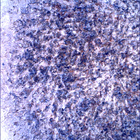 SIF_1853_0831448944_886EBY_N0880206SRLC00430_0000LMJ