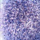 SIF_1853_0831448946_445EBY_N0880206SRLC00430_0000LMJ