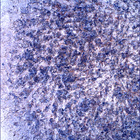 SIF_1853_0831448949_554EBY_N0880206SRLC00430_0000LMJ