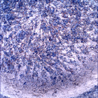 SIF_1855_0831628973_664EBY_N0880206SRLC00424_0000LMJ