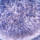 SIF_1855_0831628981_339EBY_N0880206SRLC00424_0000LMJ