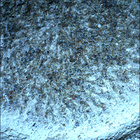 SIF_1855_0831646826_484EBY_N0880206SRLC08062_0000LMJ