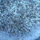 SIF_1855_0831646842_765EBY_N0880206SRLC08062_0000LMJ