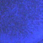SIF_1855_0831646849_457EBY_N0880206SRLC08062_0000LMJ