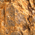 SIF_1868_0832774766_542EBY_N0881214SRLC00490_0000LMJ