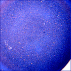 SIF_1868_0832781664_582EBY_N0881214SRLC07067_0000LMJ
