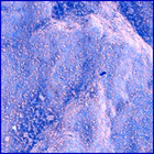 SIF_1870_0832952728_378EBY_N0881214SRLC09907_0000LMJ
