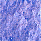 SIF_1870_0832952867_785EBY_N0881214SRLC02403_0000LMJ