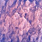 SIF_1870_0832953045_339EBY_N0881214SRLC00736_0000LMJ