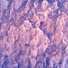 SIF_1870_0832953048_531EBY_N0881214SRLC00736_0000LMJ