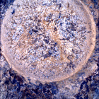 SIF_1870_0832958496_390EBY_N0881214SRLC01031_0000LMJ