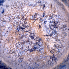 SIF_1870_0832958673_593EBY_N0881214SRLC00747_0000LMJ
