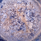 SIF_1870_0832958676_828EBY_N0881214SRLC00747_0000LMJ
