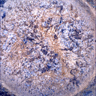 SIF_1870_0832958681_679EBY_N0881214SRLC00747_0000LMJ