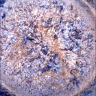 SIF_1870_0832958683_296EBY_N0881214SRLC00747_0000LMJ