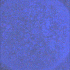 SIF_1870_0832978331_960EBY_N0881214SRLC08061_0000LMJ