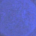 SIF_1870_0832978373_945EBY_N0881214SRLC08061_0000LMJ